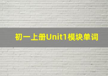 初一上册Unit1模块单词