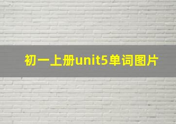 初一上册unit5单词图片