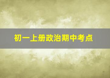 初一上册政治期中考点