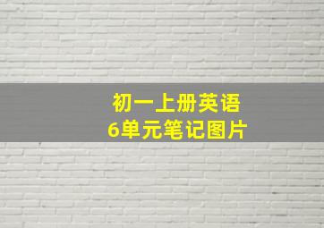 初一上册英语6单元笔记图片