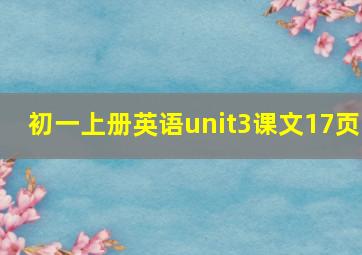 初一上册英语unit3课文17页