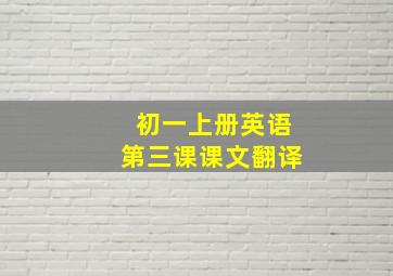 初一上册英语第三课课文翻译