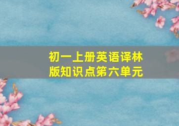 初一上册英语译林版知识点笫六单元