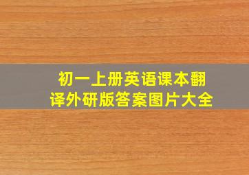 初一上册英语课本翻译外研版答案图片大全