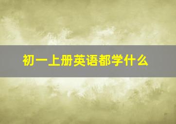 初一上册英语都学什么