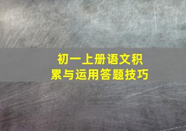 初一上册语文积累与运用答题技巧