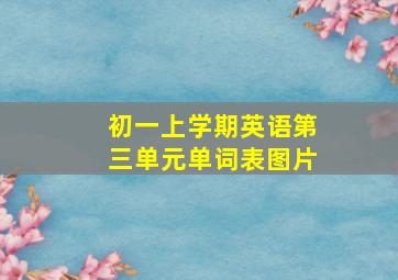 初一上学期英语第三单元单词表图片