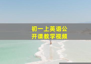 初一上英语公开课教学视频