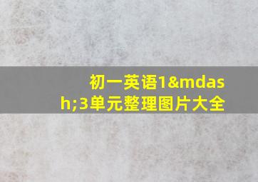 初一英语1—3单元整理图片大全