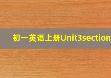 初一英语上册Unit3sectionB