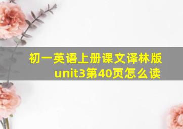 初一英语上册课文译林版unit3第40页怎么读