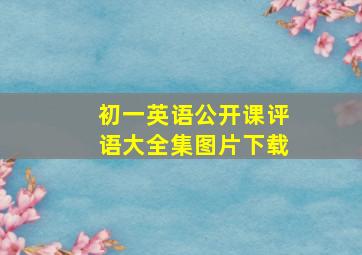 初一英语公开课评语大全集图片下载