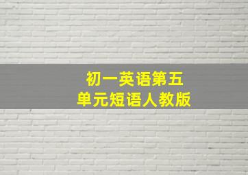 初一英语第五单元短语人教版