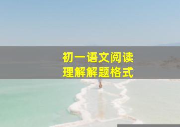 初一语文阅读理解解题格式