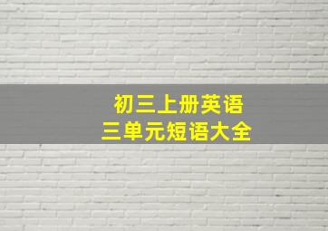 初三上册英语三单元短语大全