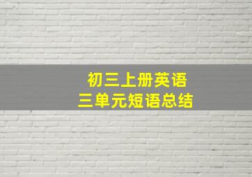 初三上册英语三单元短语总结