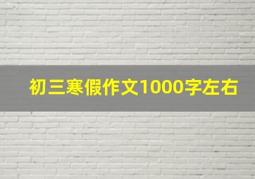 初三寒假作文1000字左右