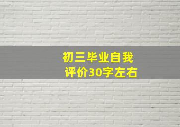 初三毕业自我评价30字左右