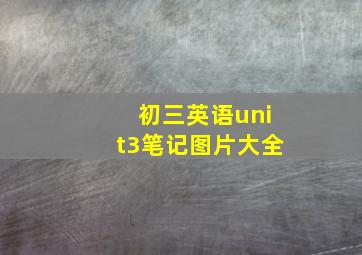 初三英语unit3笔记图片大全