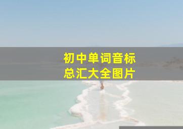 初中单词音标总汇大全图片