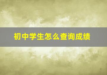 初中学生怎么查询成绩