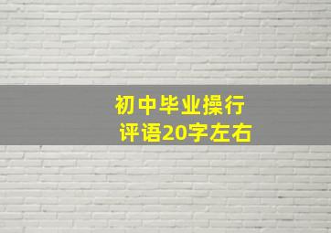 初中毕业操行评语20字左右