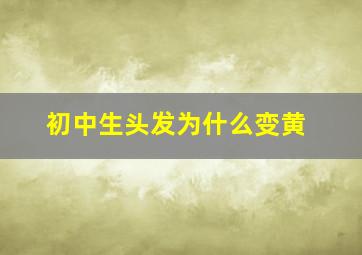 初中生头发为什么变黄