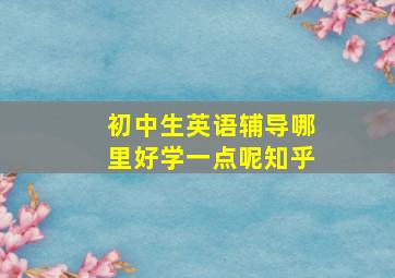 初中生英语辅导哪里好学一点呢知乎