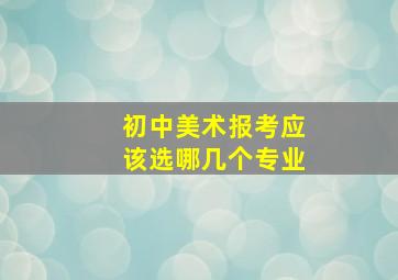 初中美术报考应该选哪几个专业