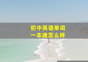 初中英语单词一本通怎么样