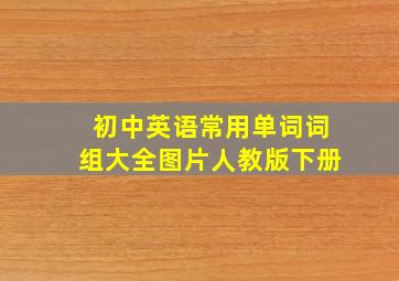 初中英语常用单词词组大全图片人教版下册