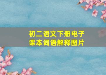 初二语文下册电子课本词语解释图片