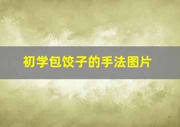 初学包饺子的手法图片