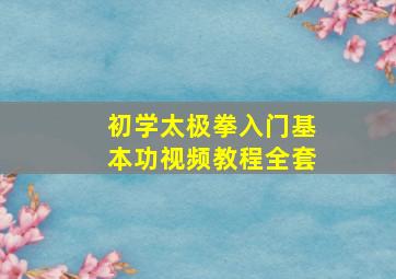 初学太极拳入门基本功视频教程全套