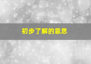 初步了解的意思