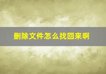 删除文件怎么找回来啊