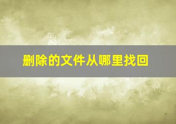 删除的文件从哪里找回