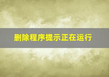 删除程序提示正在运行