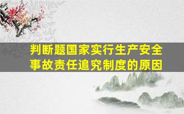 判断题国家实行生产安全事故责任追究制度的原因