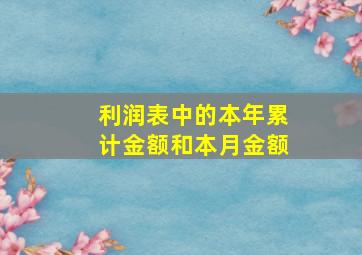 利润表中的本年累计金额和本月金额