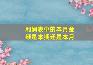 利润表中的本月金额是本期还是本月