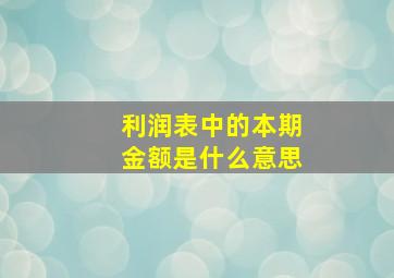 利润表中的本期金额是什么意思