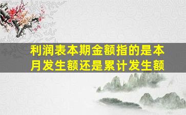 利润表本期金额指的是本月发生额还是累计发生额