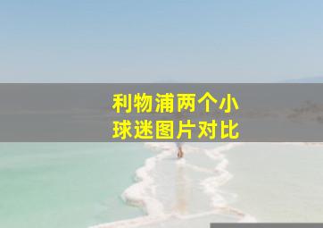 利物浦两个小球迷图片对比