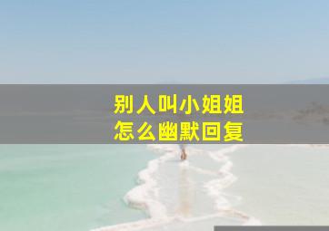 别人叫小姐姐怎么幽默回复