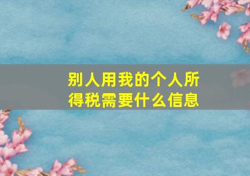 别人用我的个人所得税需要什么信息