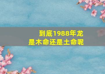 到底1988年龙是木命还是土命呢