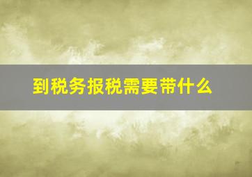 到税务报税需要带什么