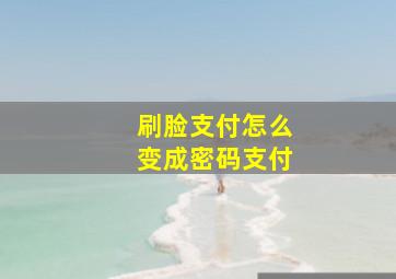 刷脸支付怎么变成密码支付