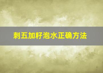 刺五加籽泡水正确方法